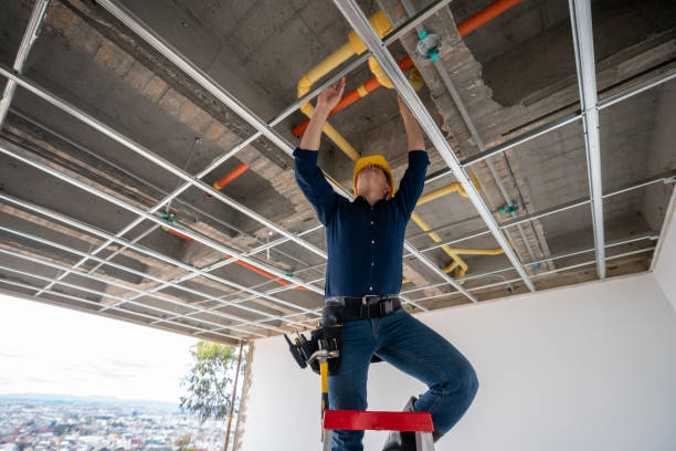 Best Toilet Repair Services  in Cedar Park, TX